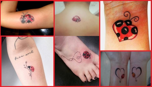 Tatuaje Mariquita ➞ ¿Qué significa? + 30 hermosas ideas!