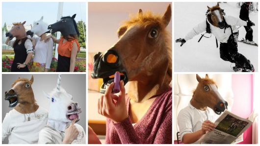 Máscara de cabeza de caballo: ¡44 fotos divertidas para inspirarte!