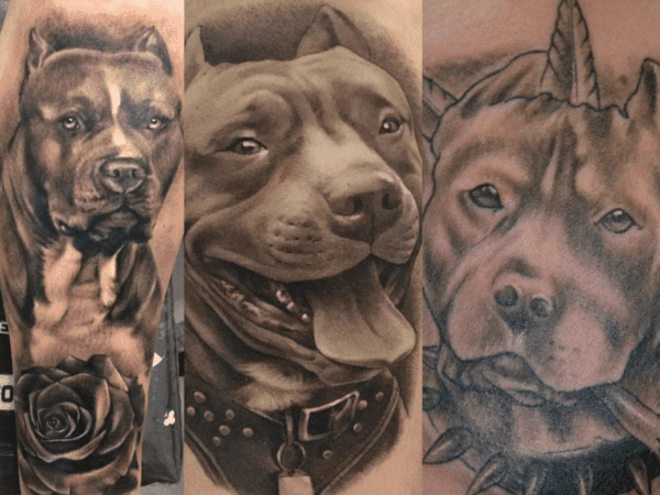 Pitbull Tattoo【2022】» +40 Idee ANIMALI tra cui scegliere!