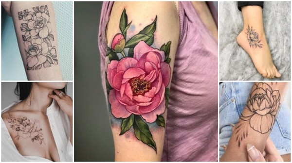 Peony Tattoo – 37 Meravigliose ispirazioni per tatuaggi con il fiore!
