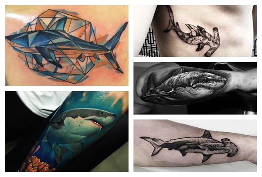 Tatouage de requin - Signification et 30 bonnes idées pour s'inspirer !