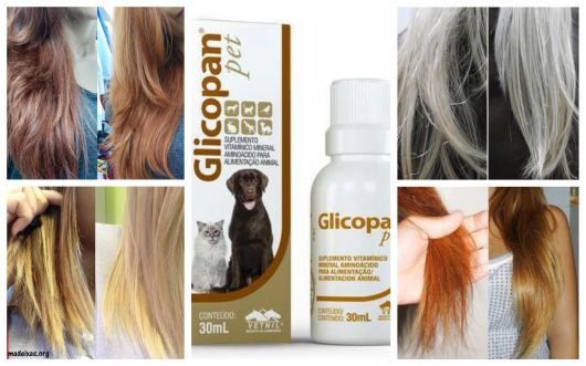 Comment utiliser Glicopan Pet sur les cheveux – Revue et guide COMPLET !