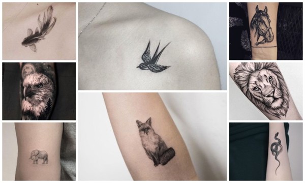 Animal Tattoo【2022】- 57 idee geniali + significati!